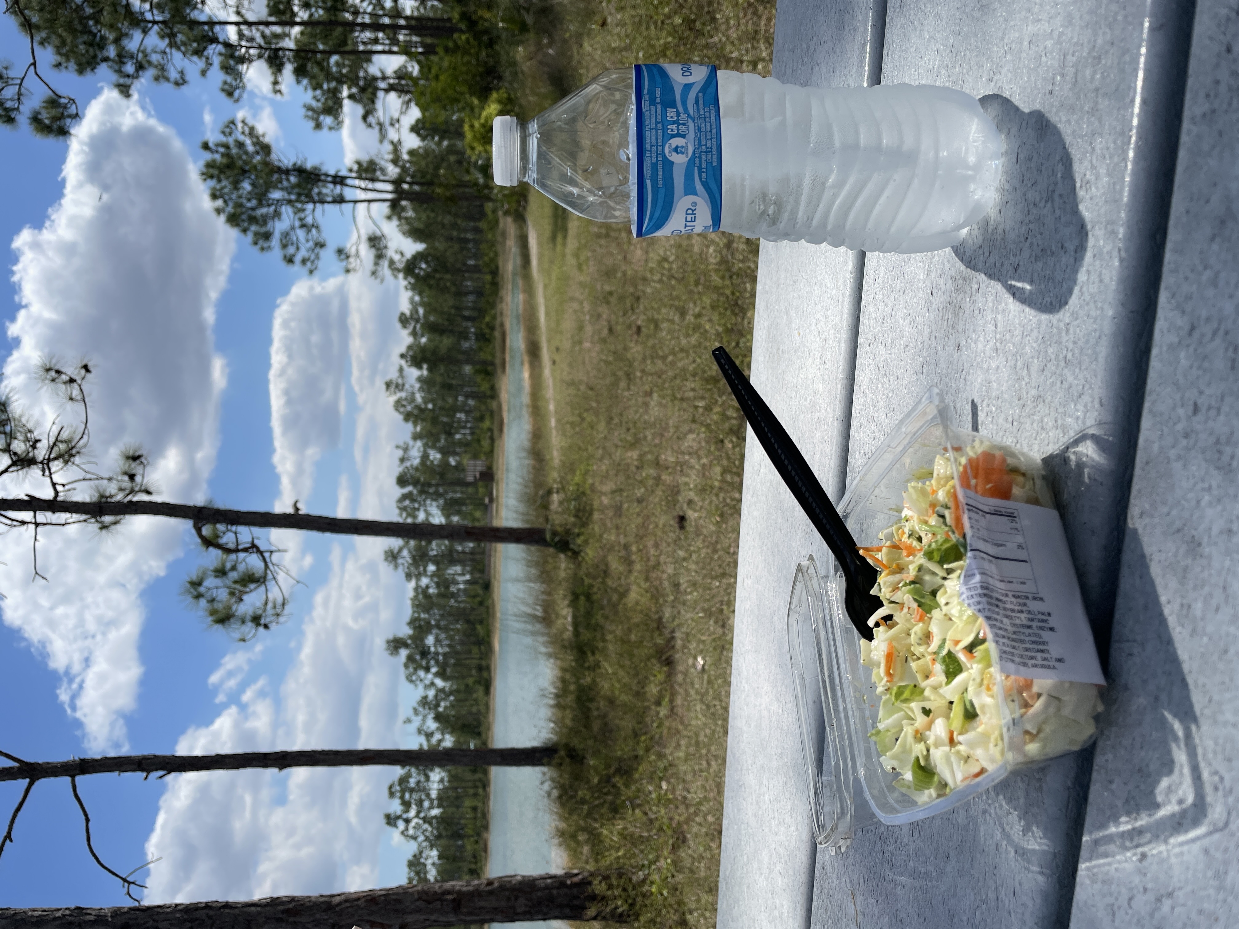 Salad and bottle of water at Long Pine Key