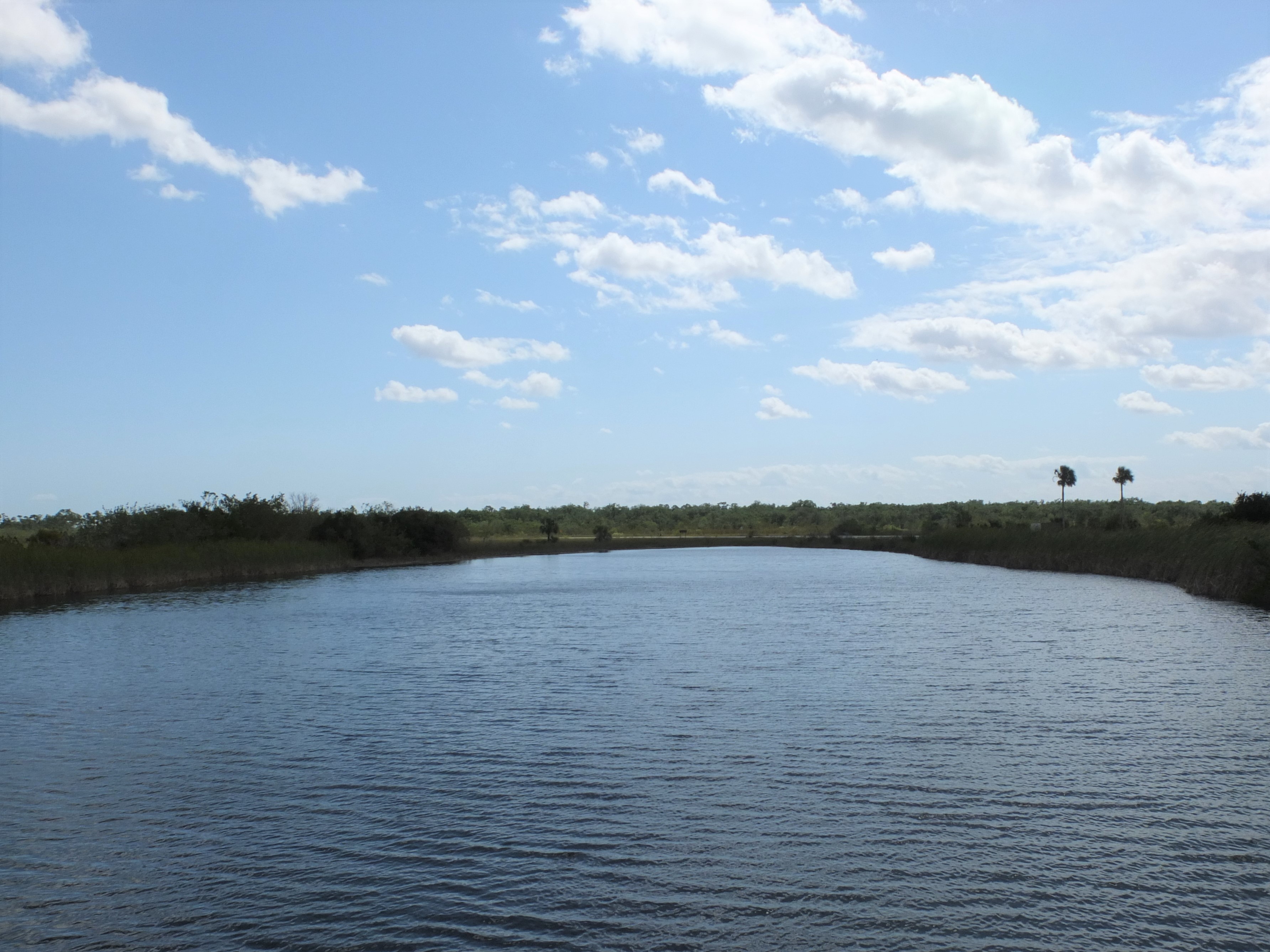 Lake behind the visitor center at the Homestead entrance of Everglades National Park 