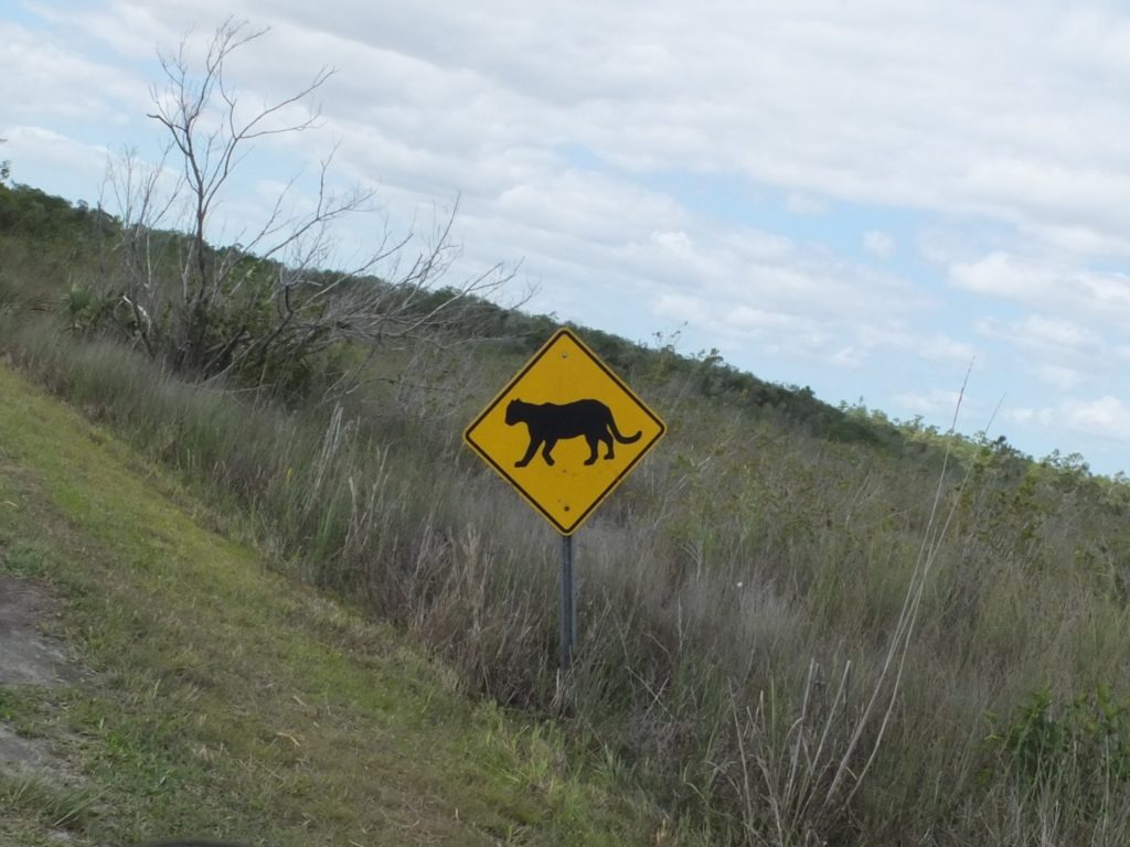 Bobcat crossing sign