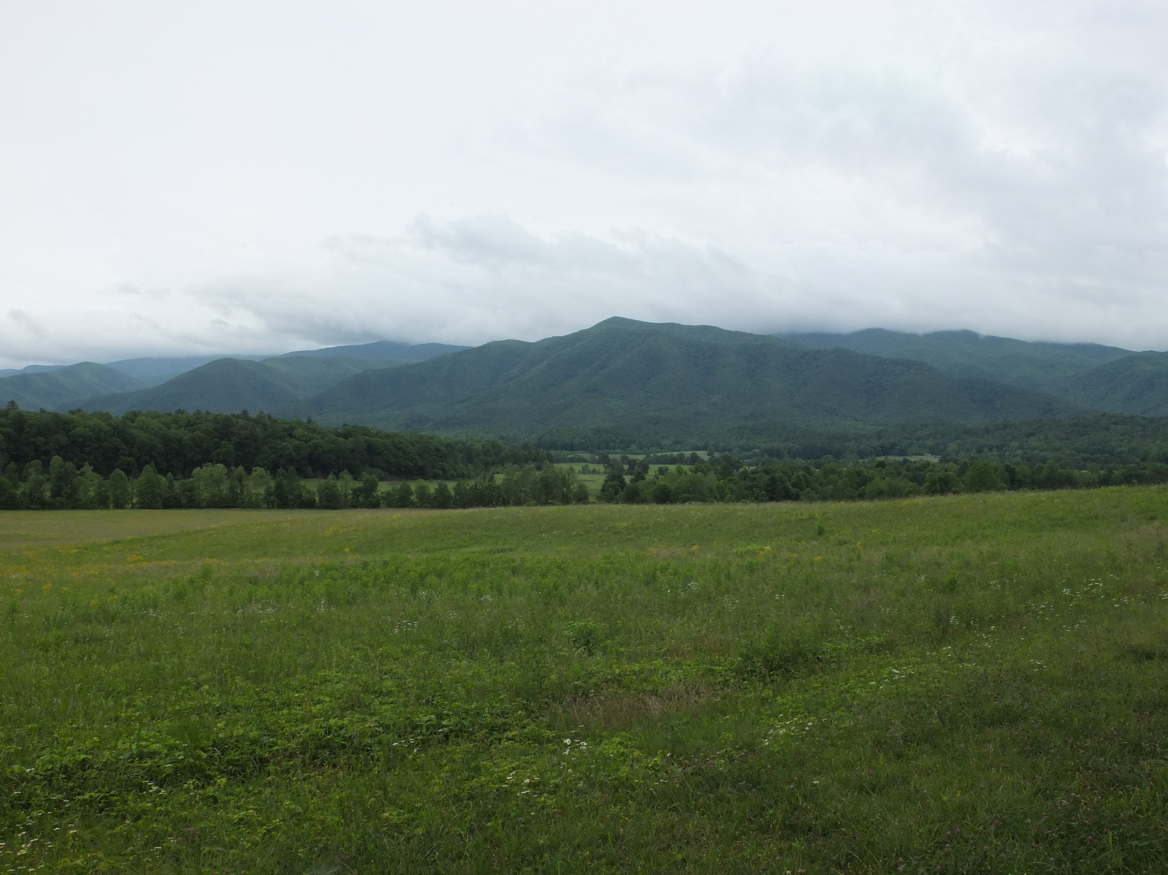 View from a pull-off in Cades Cove