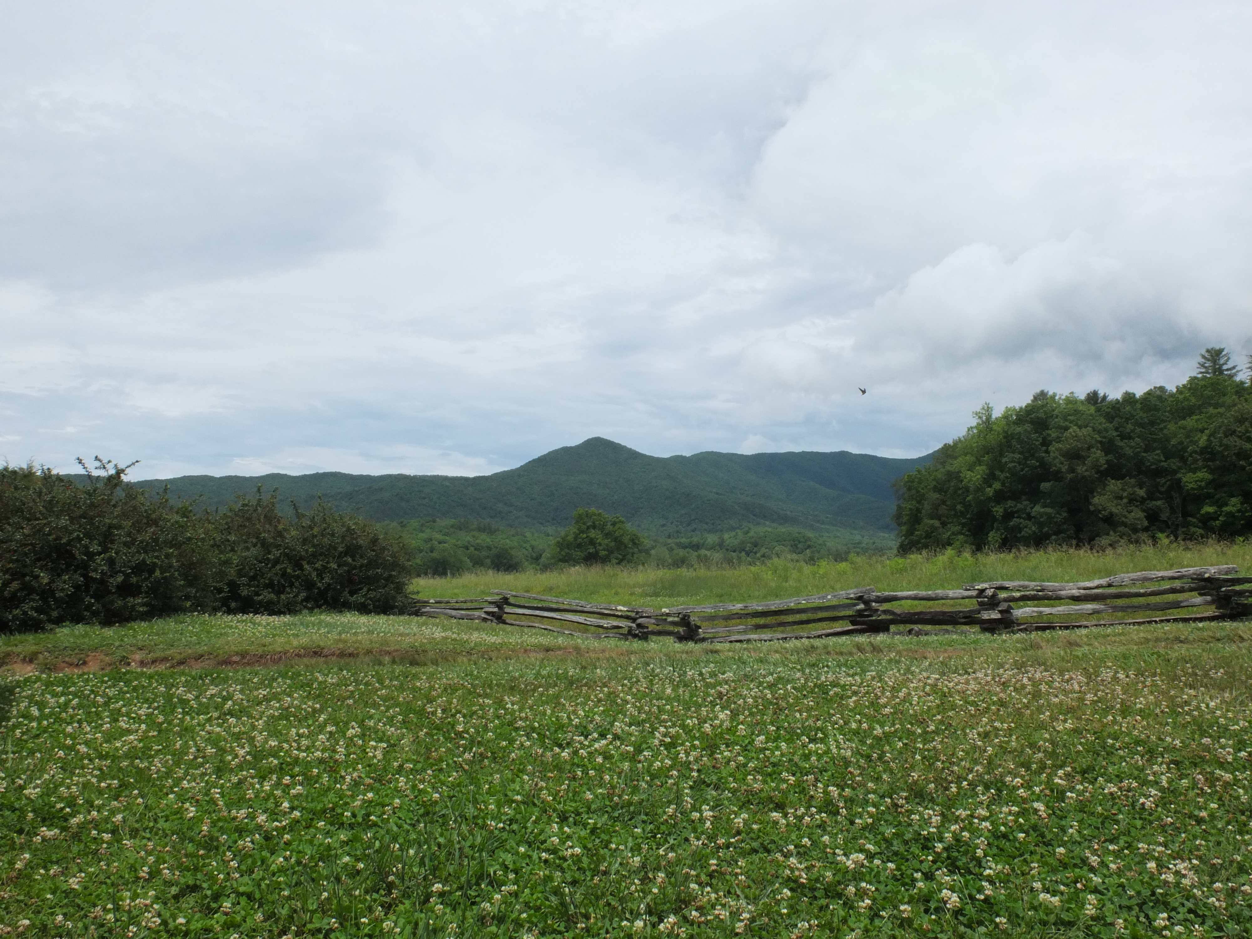 Read more about the article One Day in Cades Cove