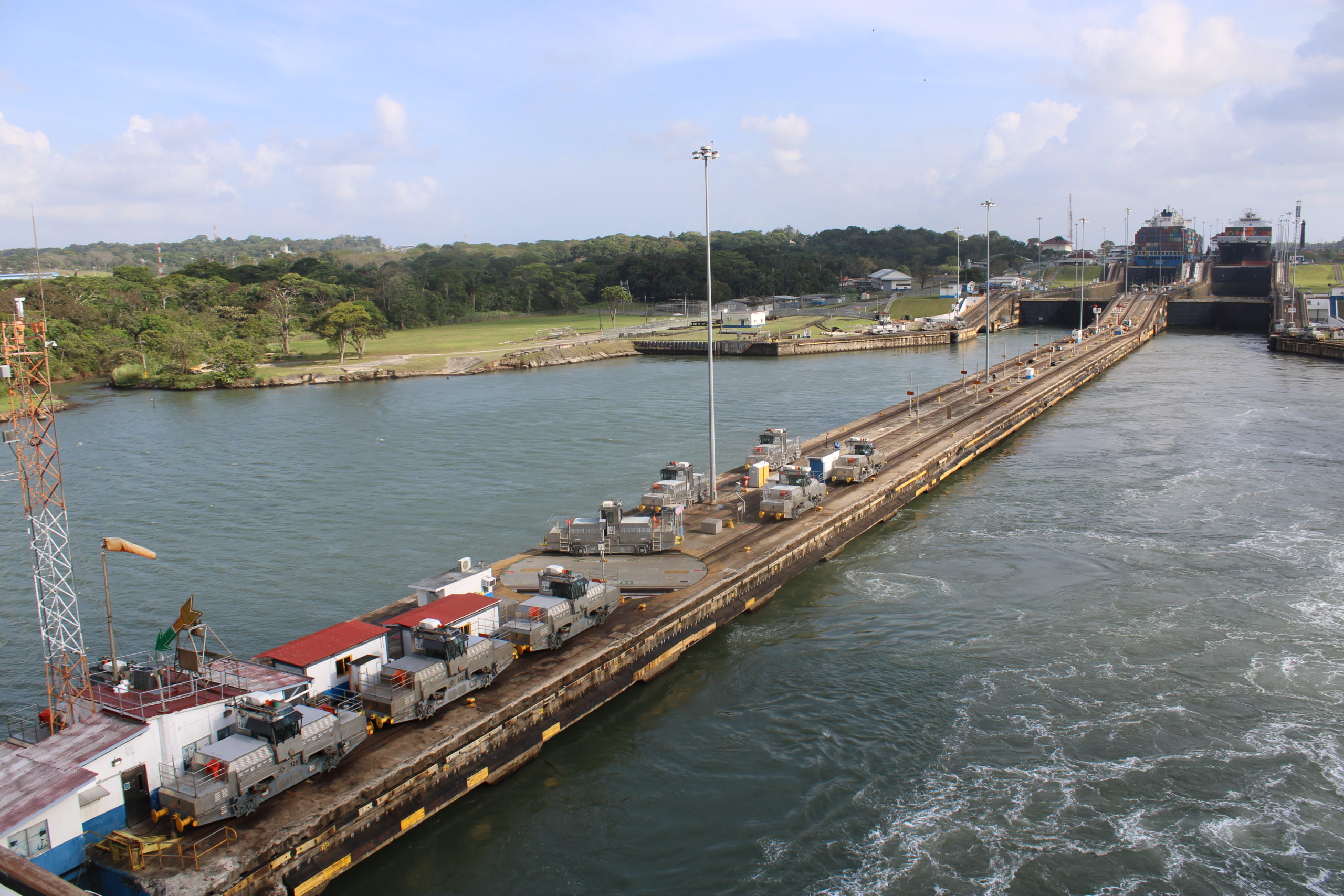 Mules of the Panama Canal