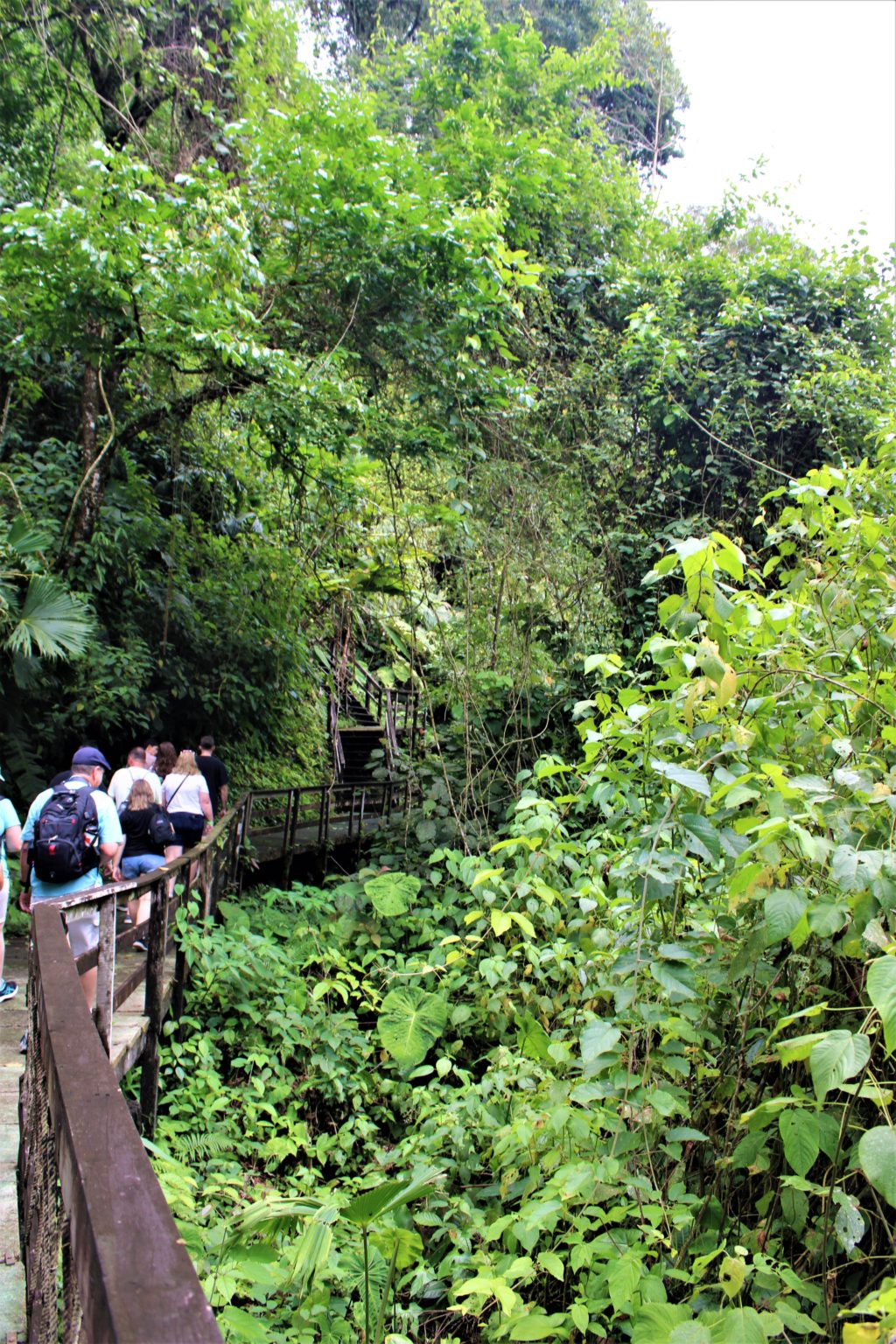 Veragua Rainforest in Limon, Costa Rica: Carnival Pride Review Day 4 ...