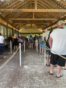 Line to return to ship Half Moon Cay