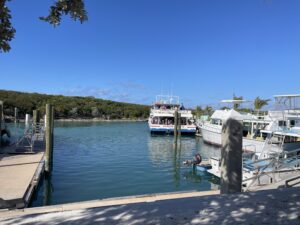 Half Moon Cay Tender