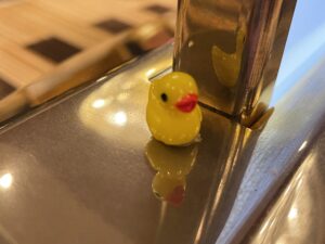 Ducks on a Cruise Ship?