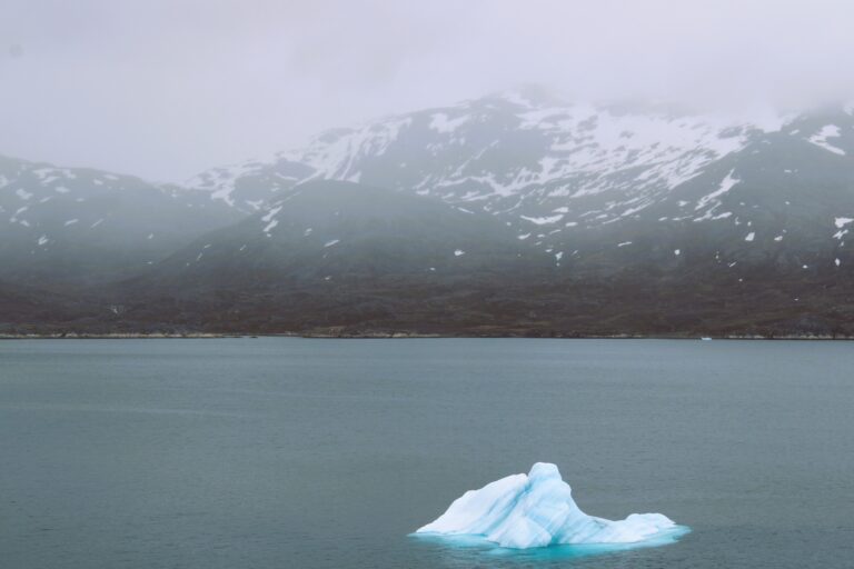 Read more about the article Cruising to Greenland on a Carnival Cruise? 